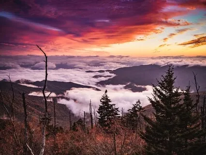 Mini Practise: Starting Your Day With Intention