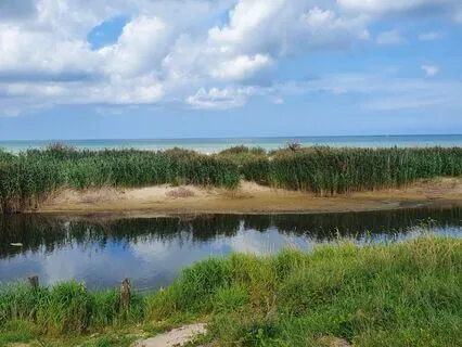 Mini-Weave Of Life - Connect With And Listen To Your Body