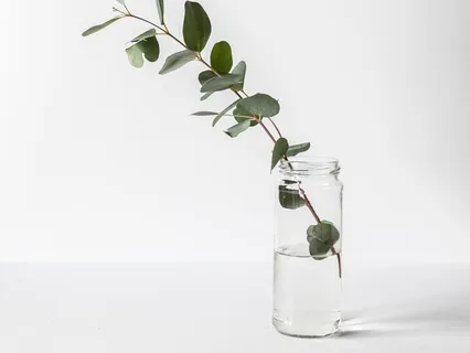 Minimalism For Mental Health