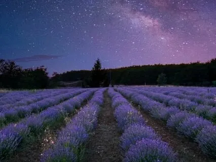 Minitation Serenity Slumber:  Deep Relaxation And Sleep