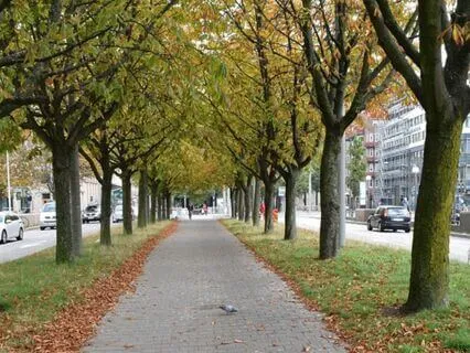 Minitation: Stroll Into Tranquility For Energy And Stress