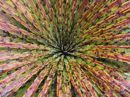 The Only Manifestation Meditation You Need (3-Min)