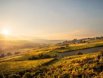 Minute Mantras - Embodiment Of Greatness