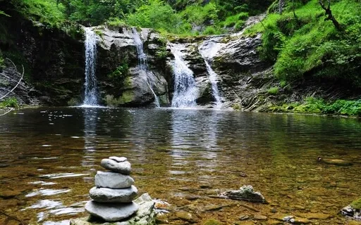 Minute Meditation For Relaxation With Bird Song