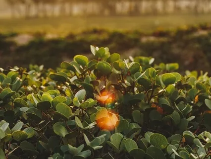 Minute-Meditation: Good Morning 