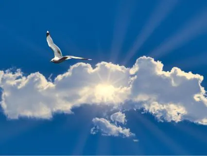 Miracle Affirmations (Extended)