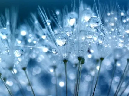 Miracle Healing Tone - 432Hz Harmonic Balance