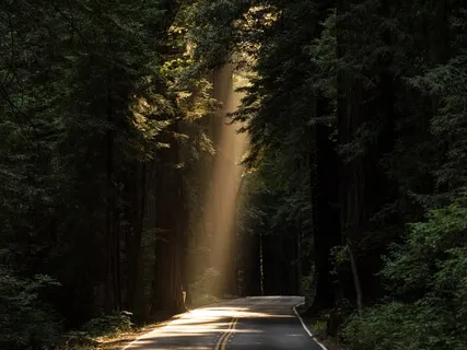 Miracle Mindset Meditation