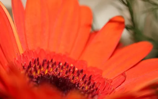 Miracle Morning - 5 Minutes To A More Productive, Joyful Day