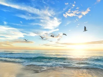 Miracle Morning Meditation: Your Dream Day