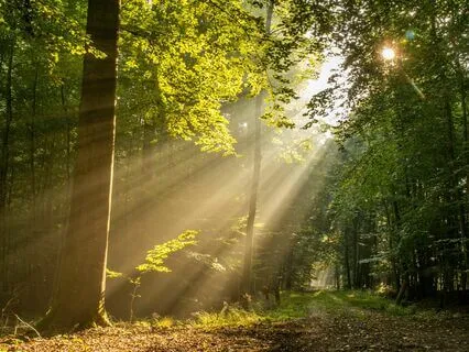 Miracle Morning: Music For Gratitude Ep. 10