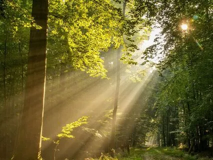 Miracle Morning| Music For Gratitude Ep 18: Be Still