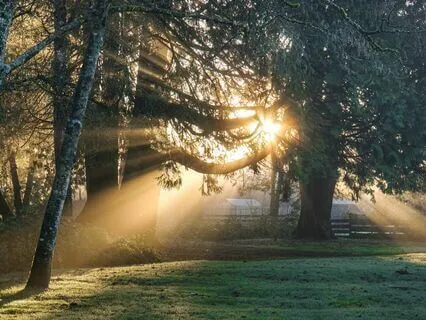 Miracle Morning - Music for Gratitude Ep1