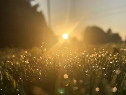 Miracle Morning: Music For Gratitude Ep15 -Be Still