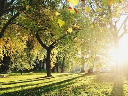 Miracle Morning| Music For Gratitude Ep 17: Daily Abundance