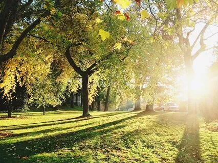 Miracle Morning - Music For Gratitude Ep2