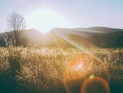 Miracle Morning - Music For Gratitude Ep4