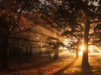 Miracle Morning - Music For Gratitude Ep6