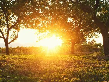 Miracle Morning - Music For Gratitude Ep7