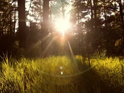 Miracle Morning: Music For Gratitude Ep. 8