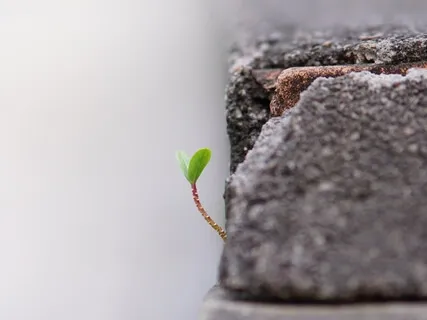 Miracle Of Life ( Piano)