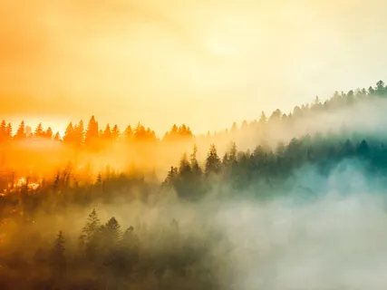 Miracle Series 4: Shifting The Inner Self Image To Be Divine