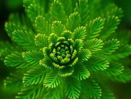 Miracle Tone - Activate Self Love 528Hz Solfeggio Frequency