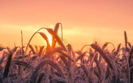 Miracle Tone Meditation Music 777Hz