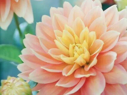 Miracles (528hz): Transform Your Energy Transform Your Life