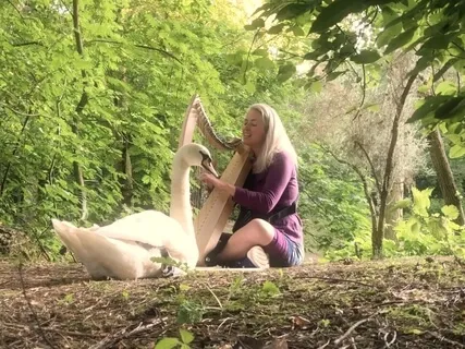 Miracles - Majestic Healing Harp - 432Hz