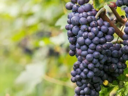 Miracles, Signs, And Wonders – Expect The Impossible