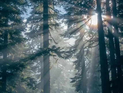 Miraculous Moments Of Peace With 528 Hz