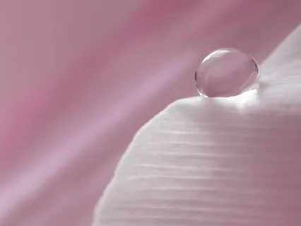 Miraculous Morning Motivation  - 20 Minute Daily Insight