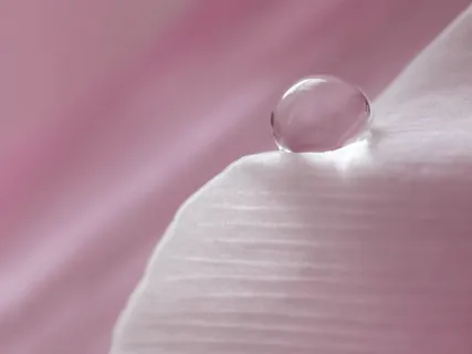 Miraculous Morning Motivation  - 5 Minute Daily Insight