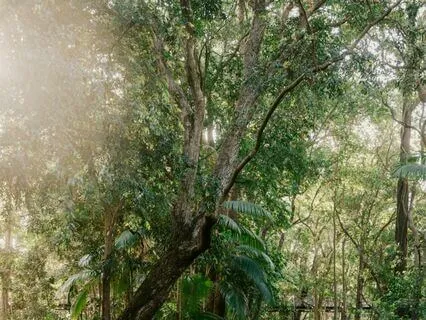 Mirco Method: From Fear To Love