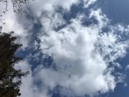 Mirror Image - A Guided Self-Reflection Visualization