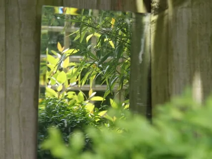 Mirror Mind Calming Away Worries Meditation