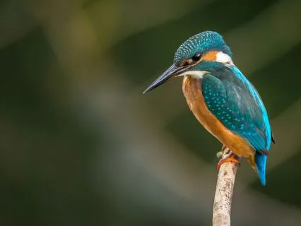 Mirror Of Self-Love: Activate Your Inner Confidence