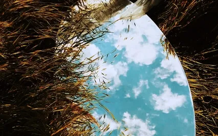 Mirror Of The Mind Problem Solving (The Silva Method)