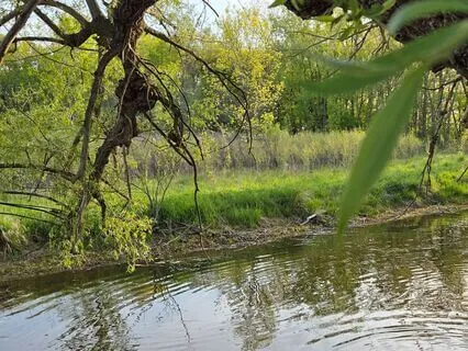 Mirror Work: Meeting Your True Self