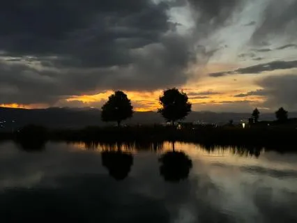 Mirrored Outside
