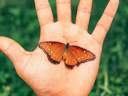 Miscarriage Support For Partners