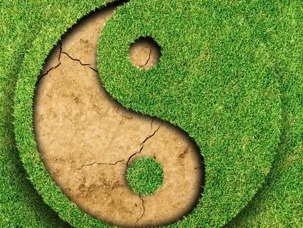 Misdirection Of Energy: The Path To Finding Balance