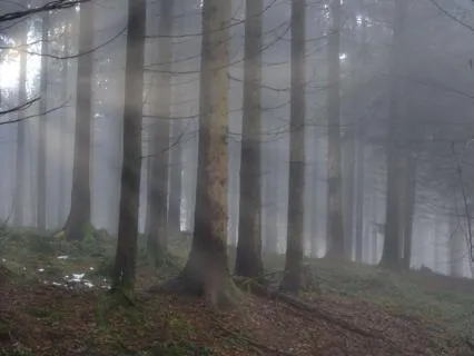 Mist Upon the Earth