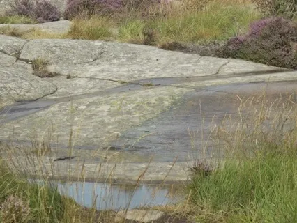 Courage To Make Mistakes