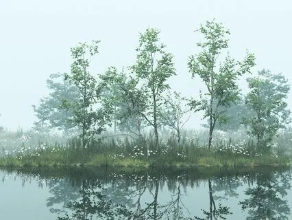 Misty Dawn Reverie: A Relaxing Escape In The Morning Mist