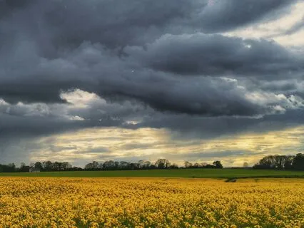 Misunderstood | Song Medley