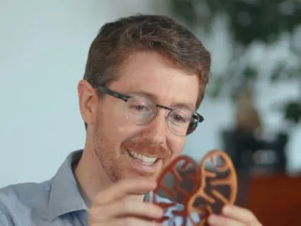 Mitochondria Bridge Energy And The Human Experience