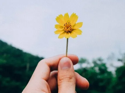 Mix Meditation Breathing and Appreciation