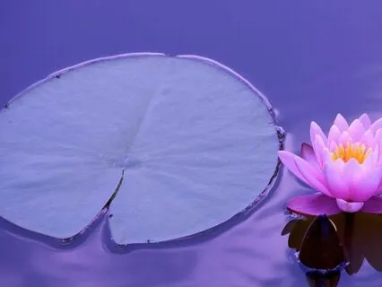 MJ01 - 38 Blessings - Not Associating With Fools (02 Of 39)